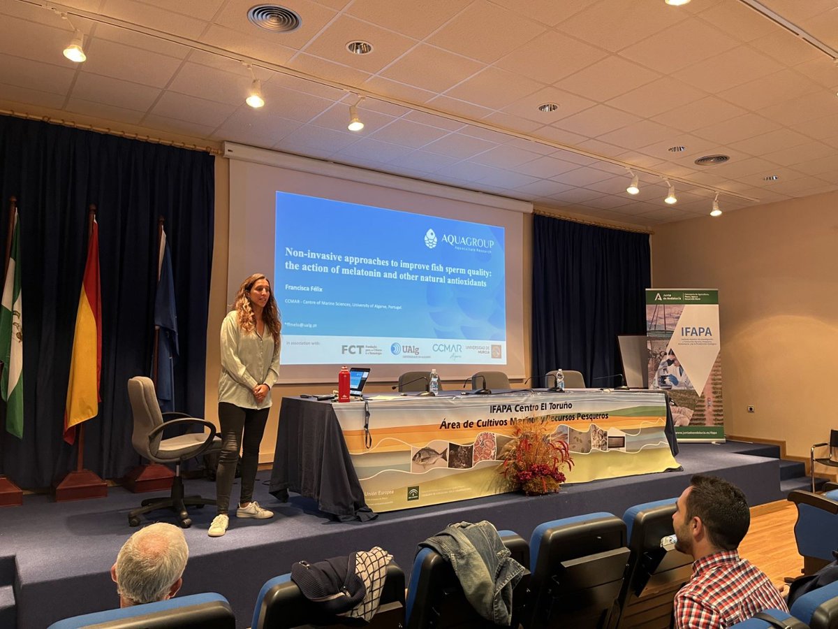 Francisca Félix (@CienciasDoMar) talked about the work from BREEDFLAT project (@EEAGrantsPT) in the #Bestbrood project worskshop,  hold on @IfapaJunta Cádiz (@Manchado_M) showing the results on Senegalese sole. Important stakeholders from Aquaculture sector attended to it.