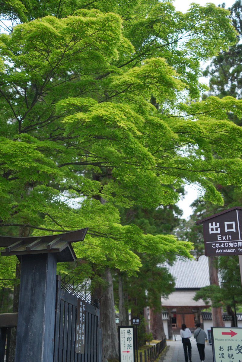 toyokun420's tweet photo. 仙台スナップ
•*¨*•.¸¸♪
瑞巌寺
#α7R5 #タムロン2040
#タムロン28200
#KANIフィルター
#starフィルター
#vividCPL https://t.co/VZcZe6SLj4