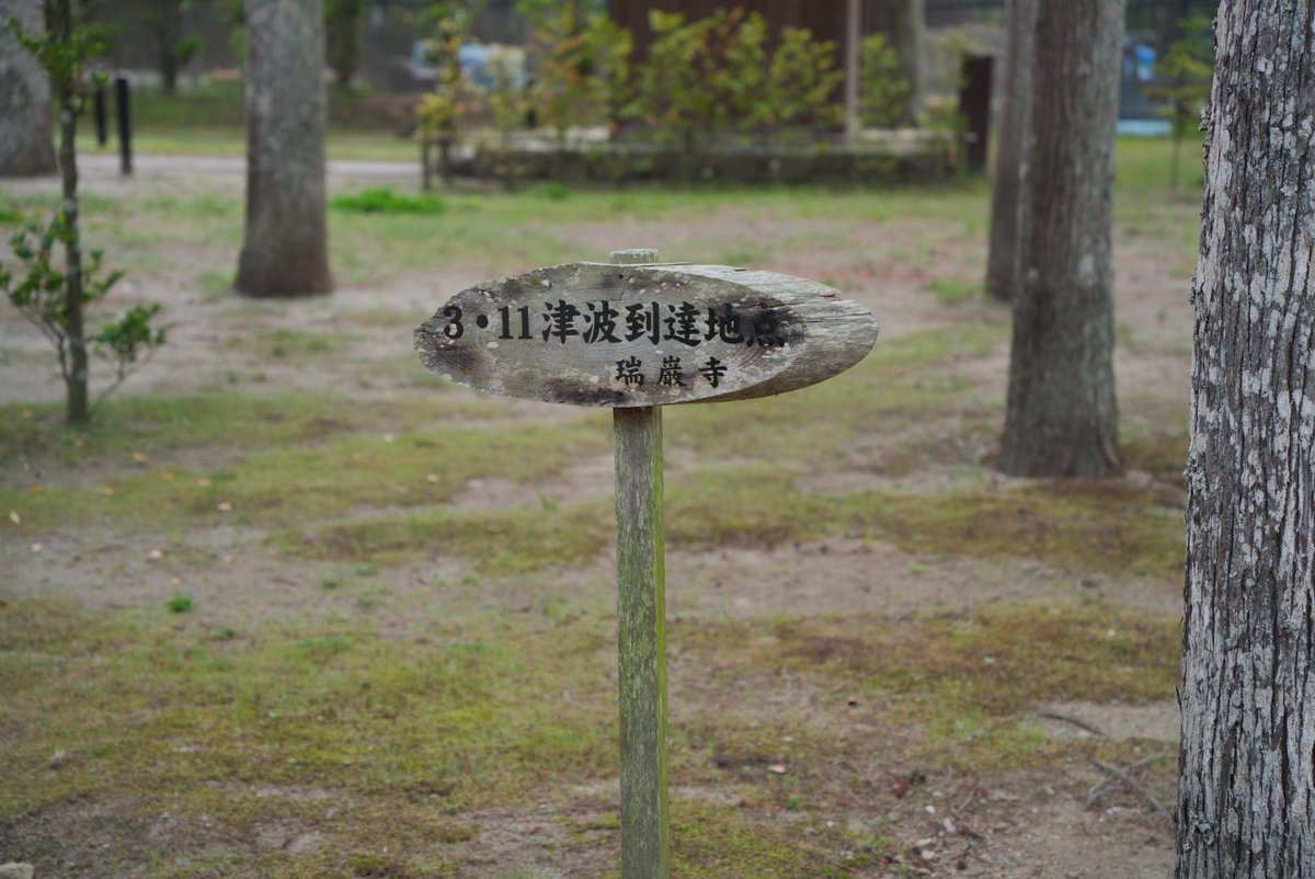 toyokun420's tweet photo. 仙台スナップ
•*¨*•.¸¸♪
瑞巌寺
#α7R5 #タムロン2040
#タムロン28200
#KANIフィルター
#starフィルター
#vividCPL https://t.co/VZcZe6SLj4