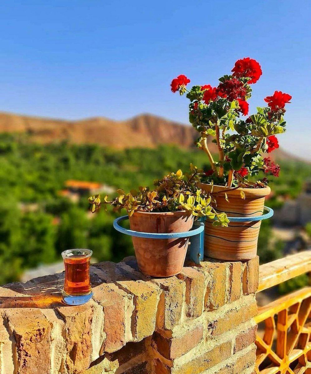 44_asou's tweet photo. ‌هر طلوعی تولدی دوباره است
و هر تولدی شروعی دوباره!
صبحتون بخیر
لبتون خندون
دلتون بی غم
زندگیتون پر از عشق و امید

روزتون مملو از شادی☺️♥️ https://t.co/LRtrO0gk6W