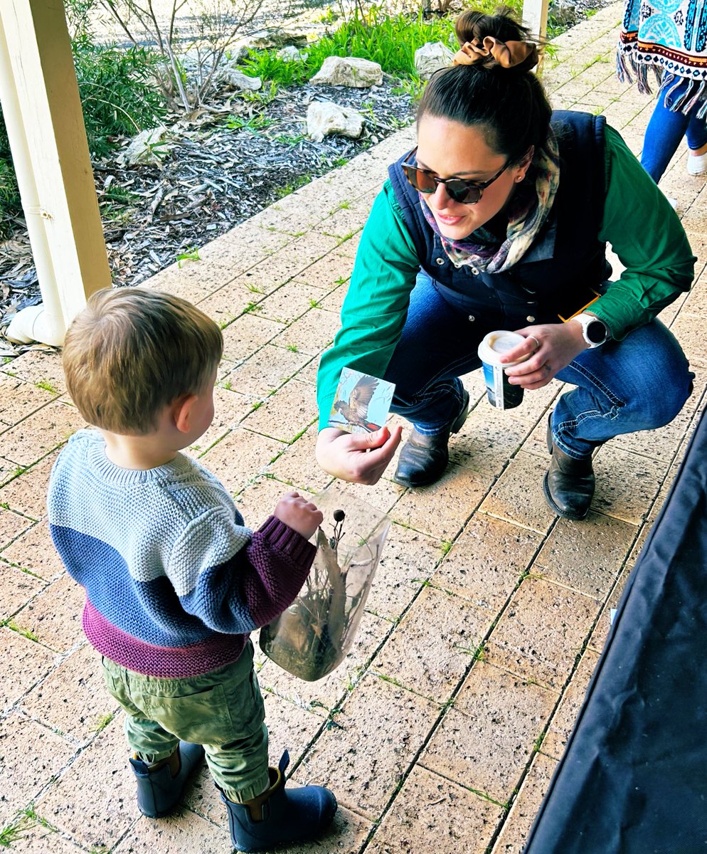 Teaching them young this morning at PHCC’s Lake Clifton Seedling Giveaway event. Local Herron and Lake Clifton residents took away seedlings to plant and provide future Black Cockatoo habitat on their properties. #workingtogether #Banksia #NLP #Ramsar482
