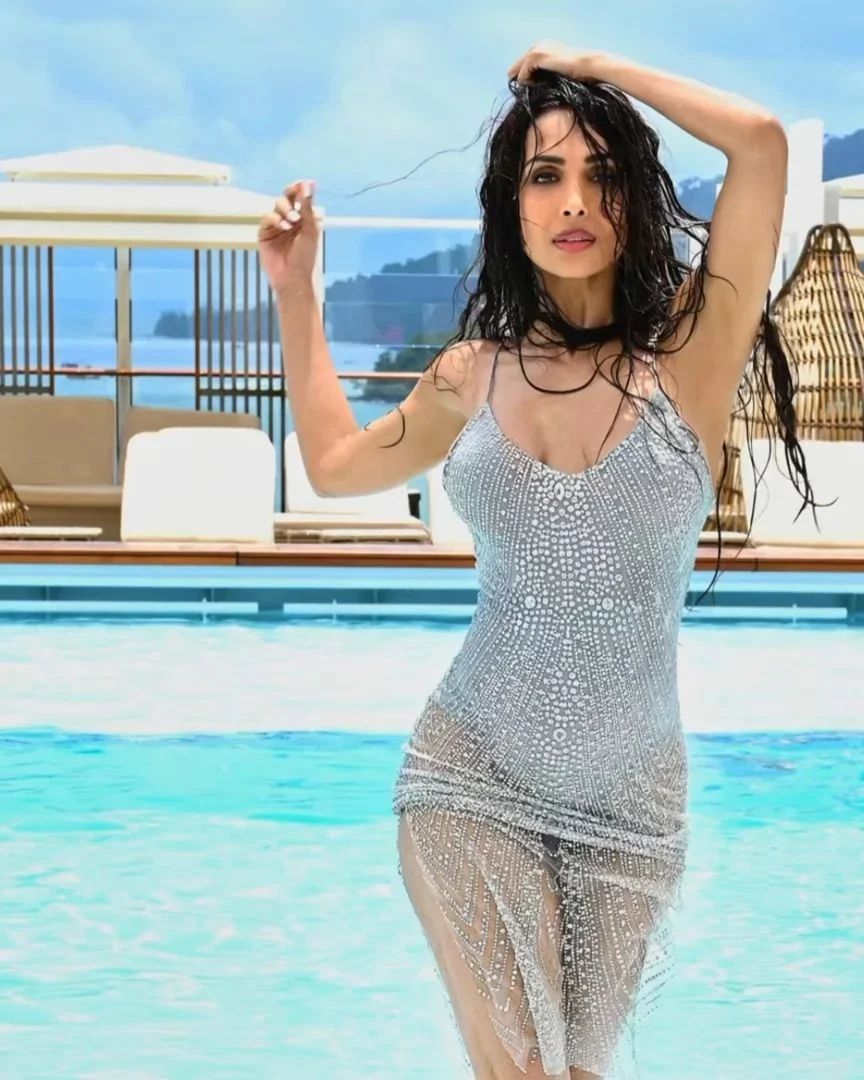 #MalaikaArora raises temperatures in grey monokini and shimmery sheer slip