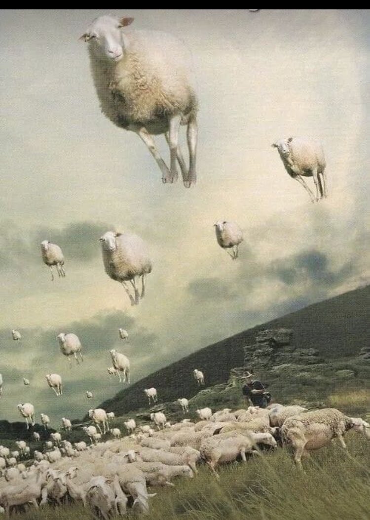 ATATÜRK VE DEMOKRASİ YE 
ALERJİSİ OLANLARA KARŞI 
antihistaminik olarak 🤪
Pazar günü 
#OylarBayKemale 🫶
#PiroM #BizeErdoğanDemeyin 
#BayKemalGeliyor 

Saplayalım Canlar 🐑🐑💡💡👈