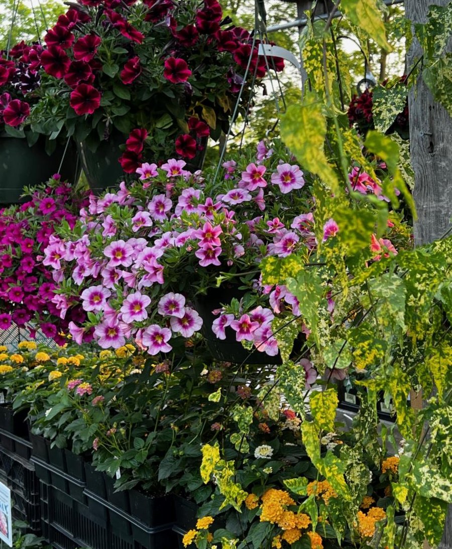 Natureworks Garden Center & Landscaping tweet media