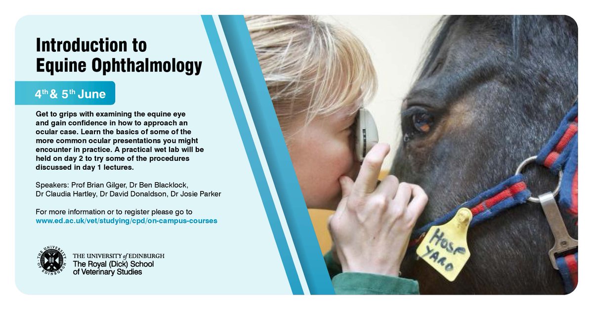 DickVetEquine's tweet photo. Calling all equine vets!

Last few days to register for our #equine #Ophthalmology #CPD event on 4 &amp; 5 June. Combining lectures &amp; practical sessions led by international experts to give you the best learning experience.

Satellite to #IEOC 2023
More info: https://t.co/Z4AOlAjaAU https://t.co/CHvKMTVgMw