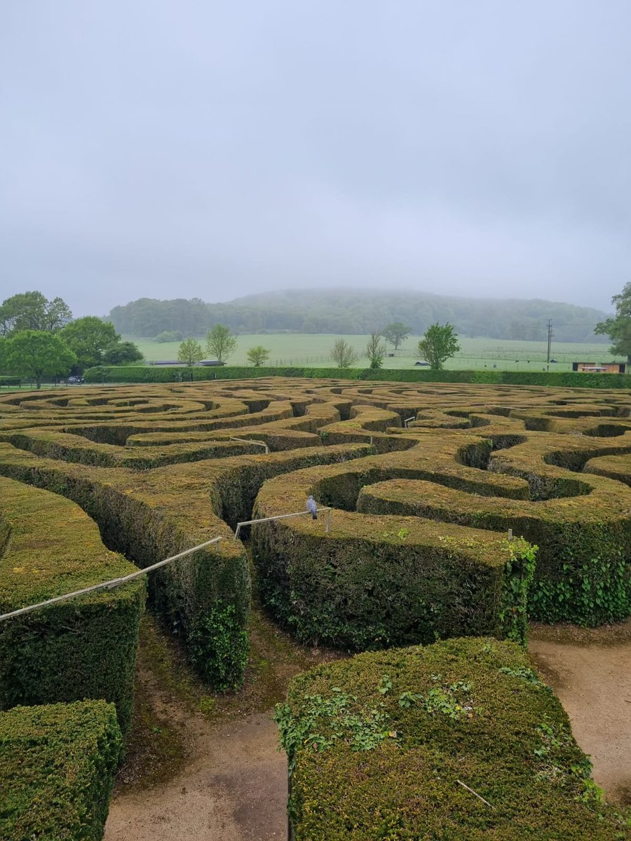 tobicwc's tweet photo. Our North Wessex team has been spraying the maze at @Longleat to keep it weed-free for visitors. It takes about two hours, provided they don't get lost! https://t.co/aJhKJk9XLF