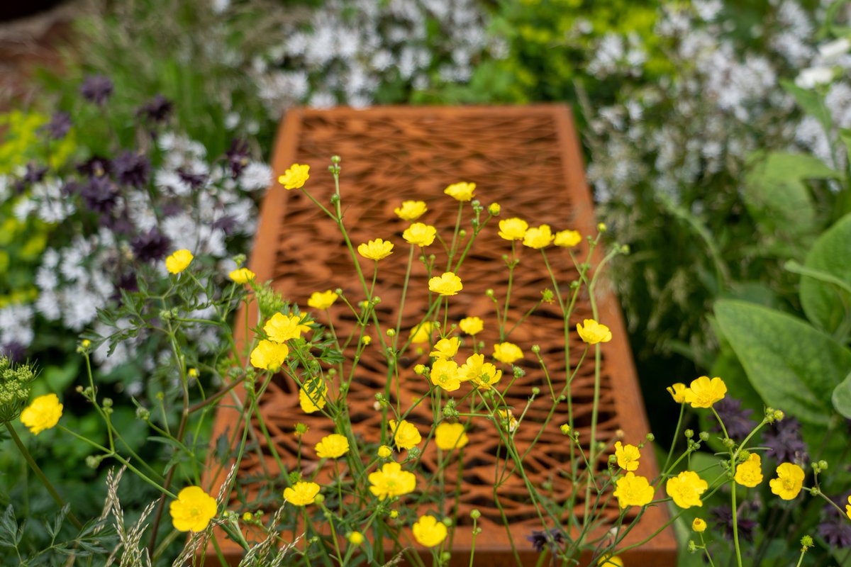 Martyn Wilson (@martynwilson11) on Twitter photo One of the things I've been asked about most are the beautiful dead hedge boxes on my #RHSChelsea garden. Made for me by <a href="/starkgreensmith/">Stark & Greensmith</a>, they're filled with prunings to provide wildlife habitat. The orange top layer came from <a href="/RHSWisley/">RHS Garden Wisley</a>'s compost heap - taken with permission! One of the things I've been asked about most are the beautiful dead hedge boxes on my #RHSChelsea garden. Made for me by <a href="/starkgreensmith/">Stark & Greensmith</a>, they're filled with prunings to provide wildlife habitat. The orange top layer came from <a href="/RHSWisley/">RHS Garden Wisley</a>'s compost heap - taken with permission!