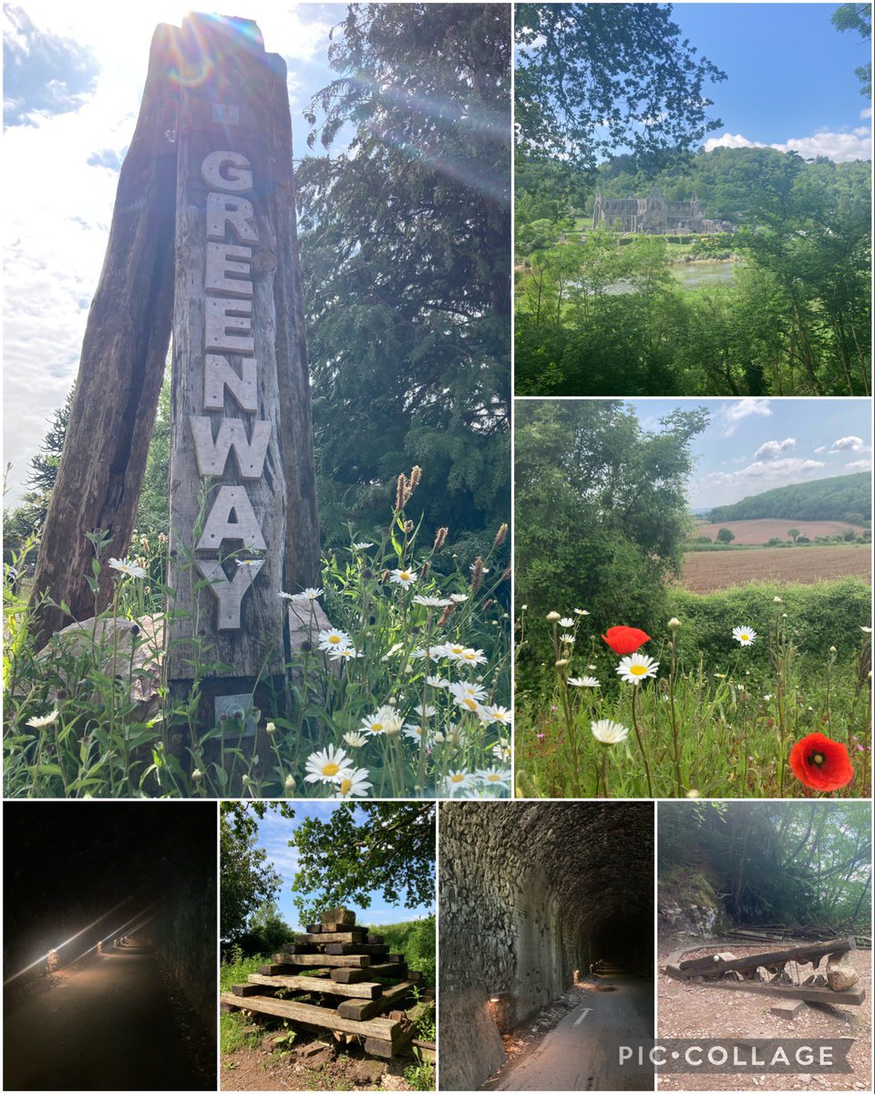 rosiebristow's tweet image. Another running adventure

We ran the Wye Valley Greenway again from Chepstow to Tintern and back via Tidenham Tunnel.

The hedgerows were stunning as were the views over to the Severn, and again at Tintern. And running through a tunnel is always very cool, quite literally.
