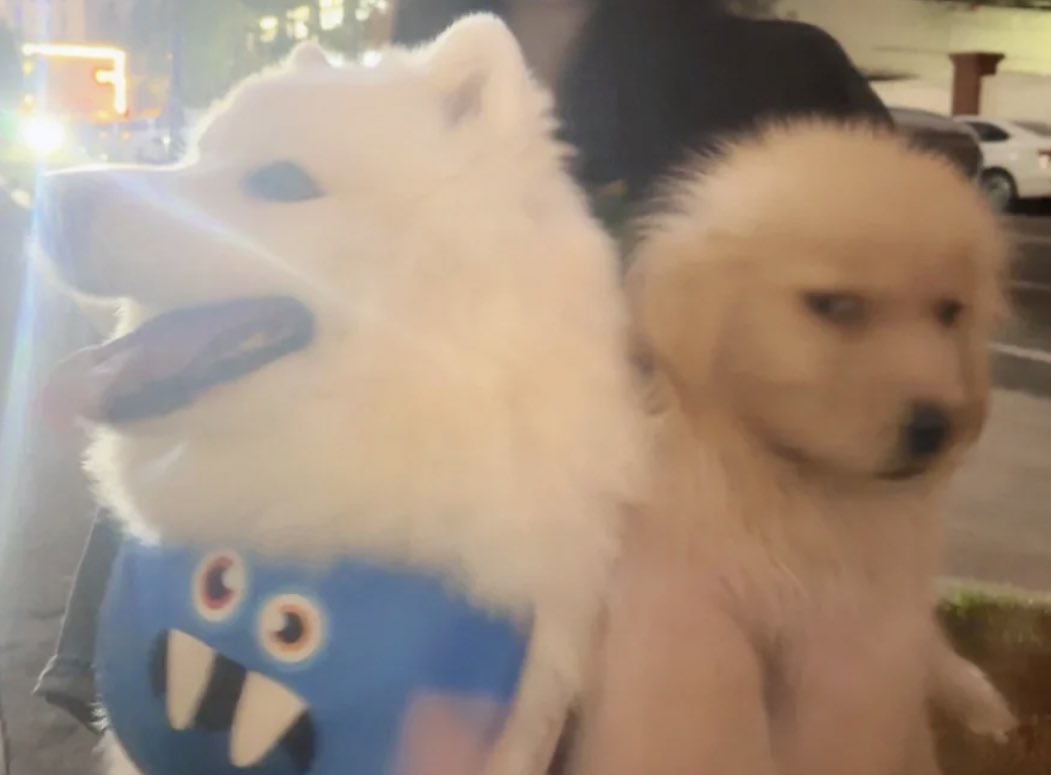 เมื่อไหร่แม่จะเอามันไปป่อยวัด