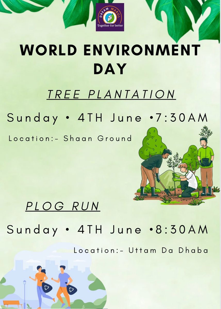 Dream Marol tweet media