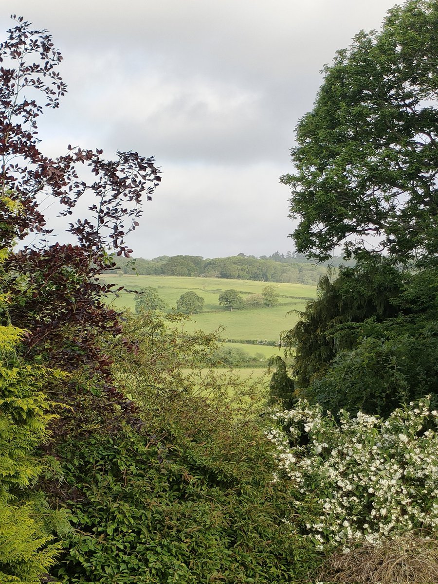 Sarah West tweet media