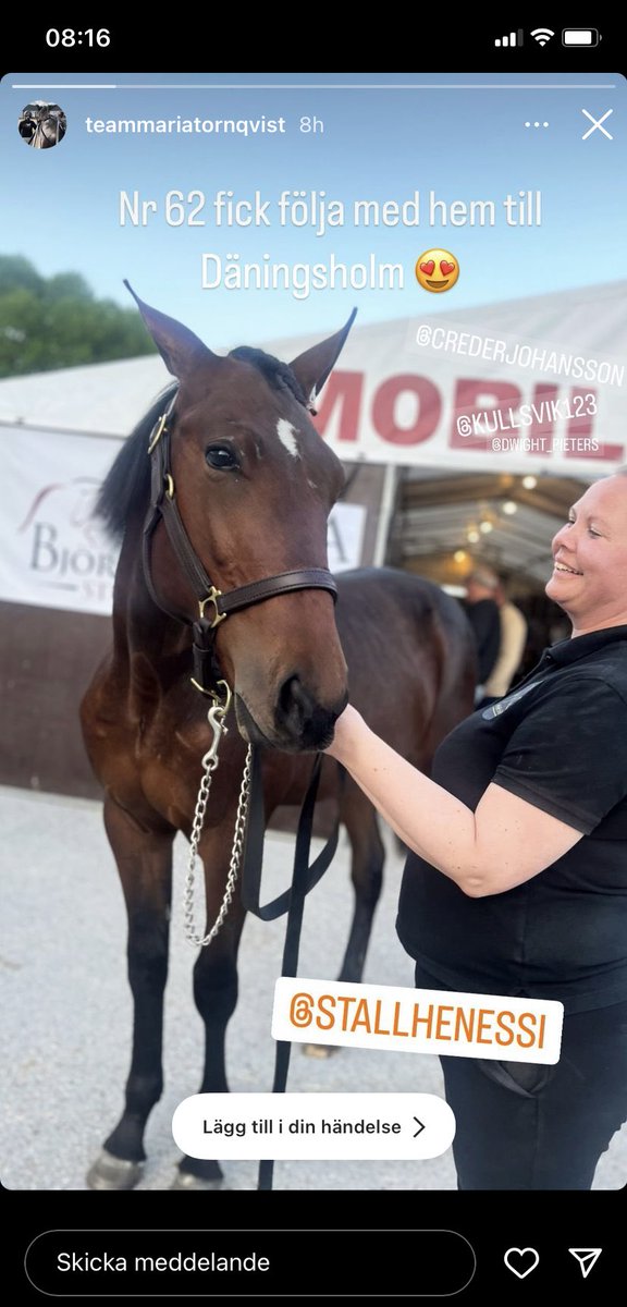 Trots att auktionen blev uppskjuten igår så hittade Henessi Charkiv ett nytt hem hos <a href="/tornqvist_maria/">Maria Törnqvist</a> ✨. Stort grattis till en fin häst. Ska bli spännande att följa hans utveckling. #stallhenessi #sixpack
