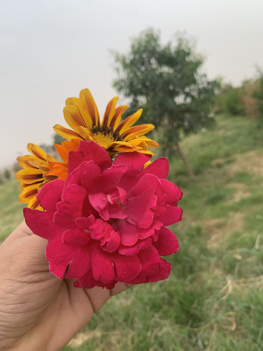 كن صبورا الدروس التي تتعلمها اليوم ستفيدك غدا……