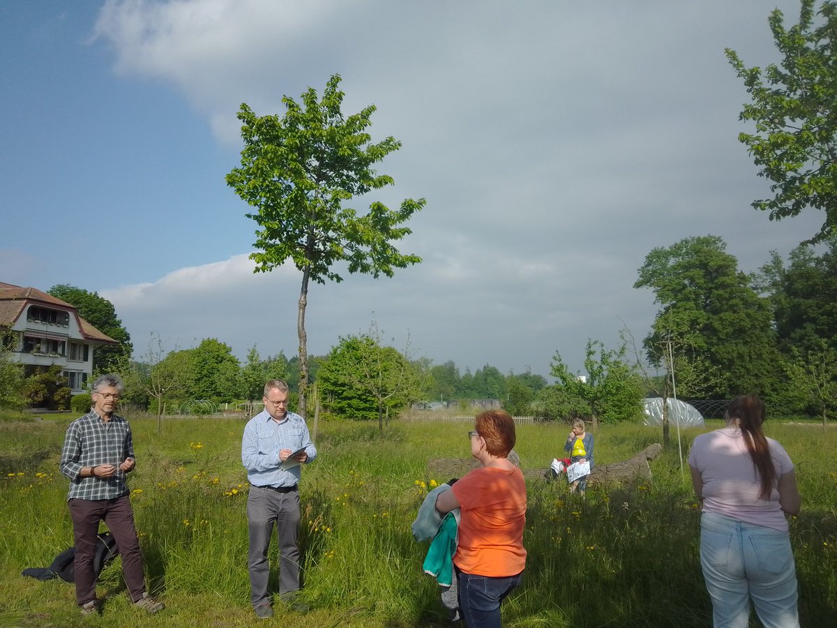 robertborek13's tweet photo. Amazing trip across agroforestry systems in Belgium, western Germany and Switzerland. First time Polish advisors and farmers had opportunity to see mature modern AF. I saw them so happy and full of questions! 🌳🌾🌳
Thank you to #InagroBeitem #Agroforst_DeFAF and #agroscope ! https://t.co/AwCbe7wzDl