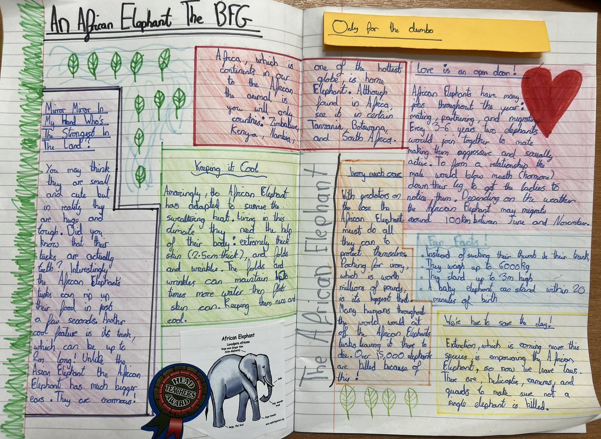 Year five wrote non chronological reports about an animal of their choice. After lots of research, careful planning and an independent write, here are some of our published final pieces! <a href="/janeconsidine/">Jane Considine</a>