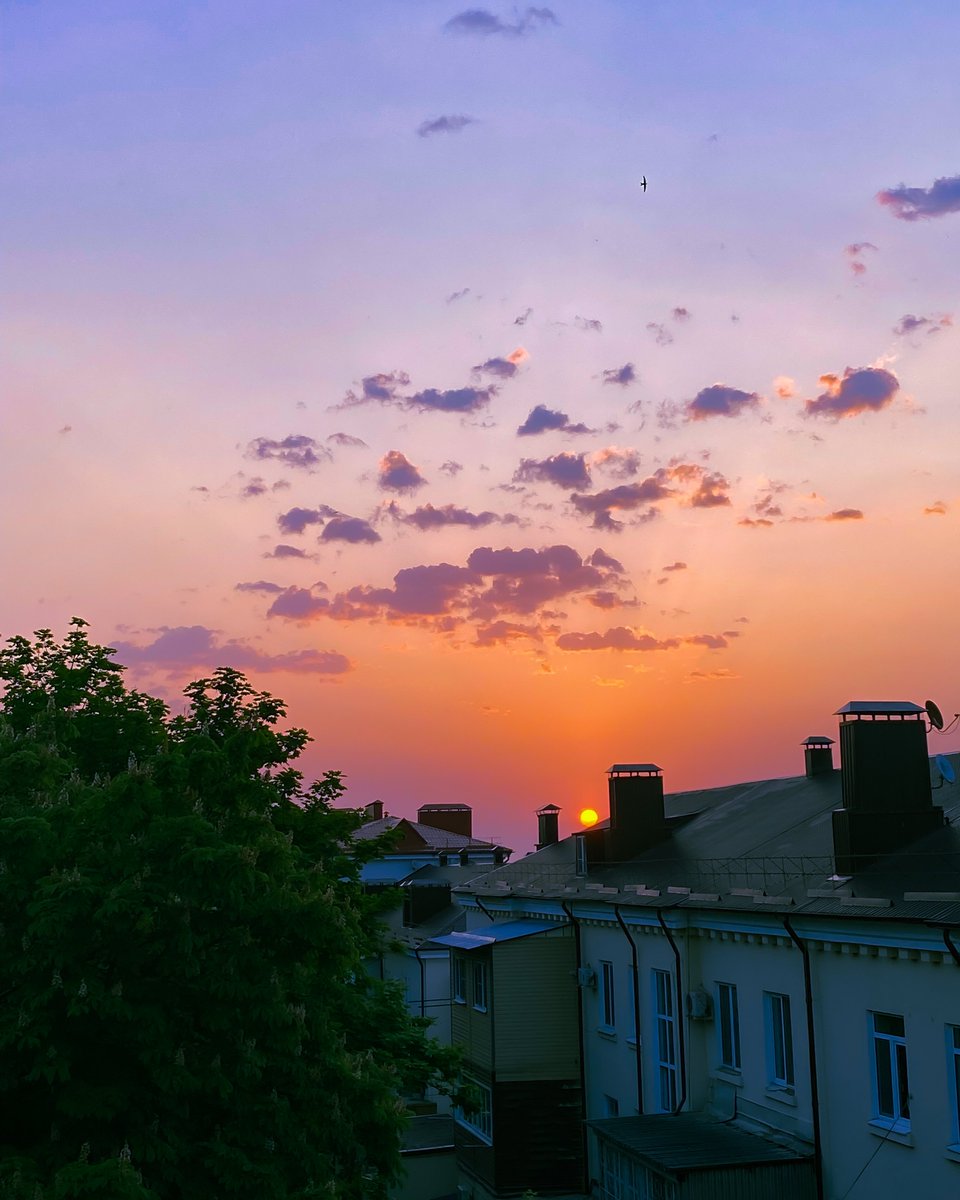 شروق النهارده