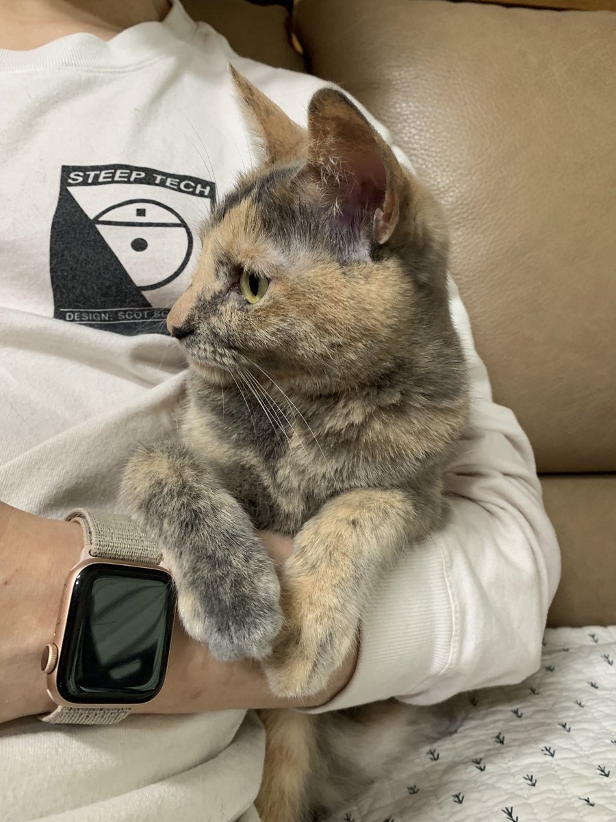 CatainKirk's tweet photo. https://t.co/pUjPZuS8KQ