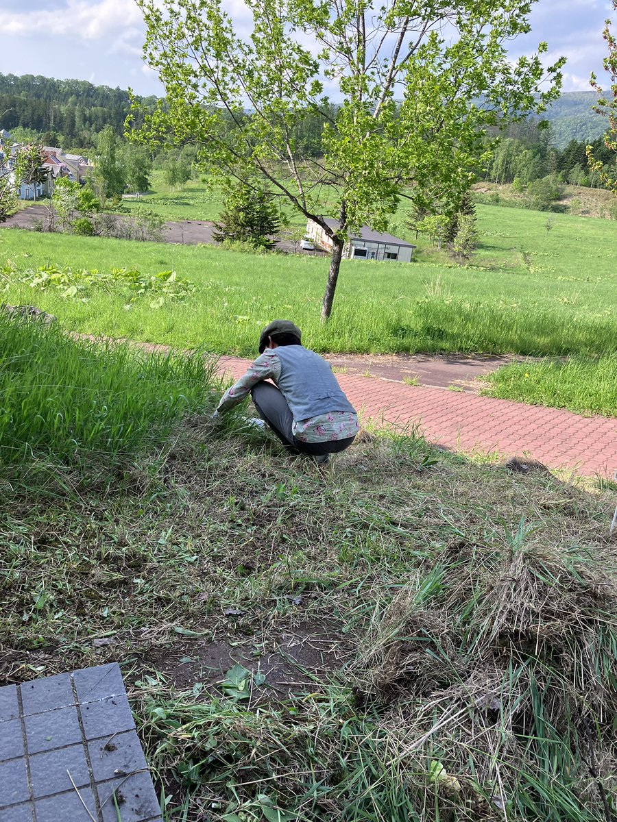 akakumako's tweet photo. 局長と局長代理で草刈り(手動)中です
お花を植えます〜
まわりにも自然がたくさん!
エゾハルゼミやアカゲラの生きている音がします
あとハチとも戦っていますw
#pinonPOST
#カナディアンワールド
#芦別 https://t.co/qT7Gy3C8dX