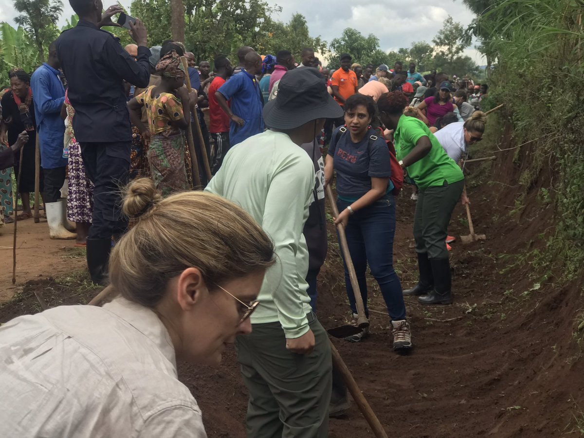 SHYOGWE Sector tweet media