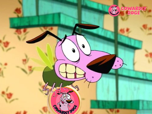 A fly on the wall during any special occasion.

#CowardlyDoge #DOGE $CODOGE #MEME #MMGA