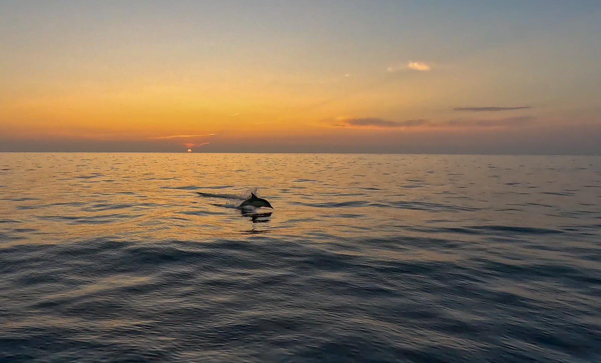 Turn to Starboard (@turntostarboard) on Twitter photo Being surrounded by nature and experiencing the peace and tranquility of the sea can be a powerful antidote to the stress of everyday life. If you are a veteran and are struggling, get in touch. Call on 01326 314262, or email info@turntostarboard.co.uk #carpediem #comesailing Being surrounded by nature and experiencing the peace and tranquility of the sea can be a powerful antidote to the stress of everyday life. If you are a veteran and are struggling, get in touch. Call on 01326 314262, or email info@turntostarboard.co.uk #carpediem #comesailing
