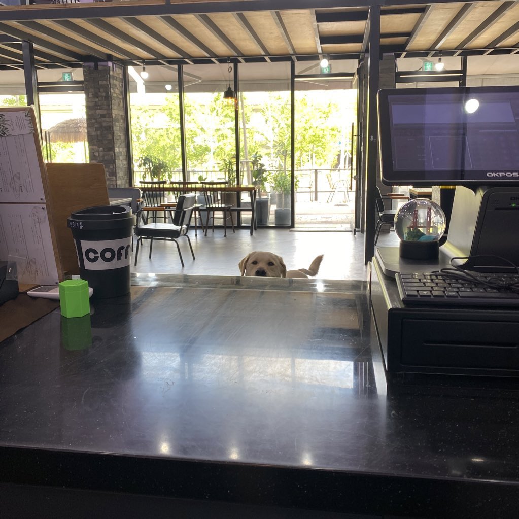 ...?...???...??
핸드폰하다 고개들었더니 상상도못한 손님