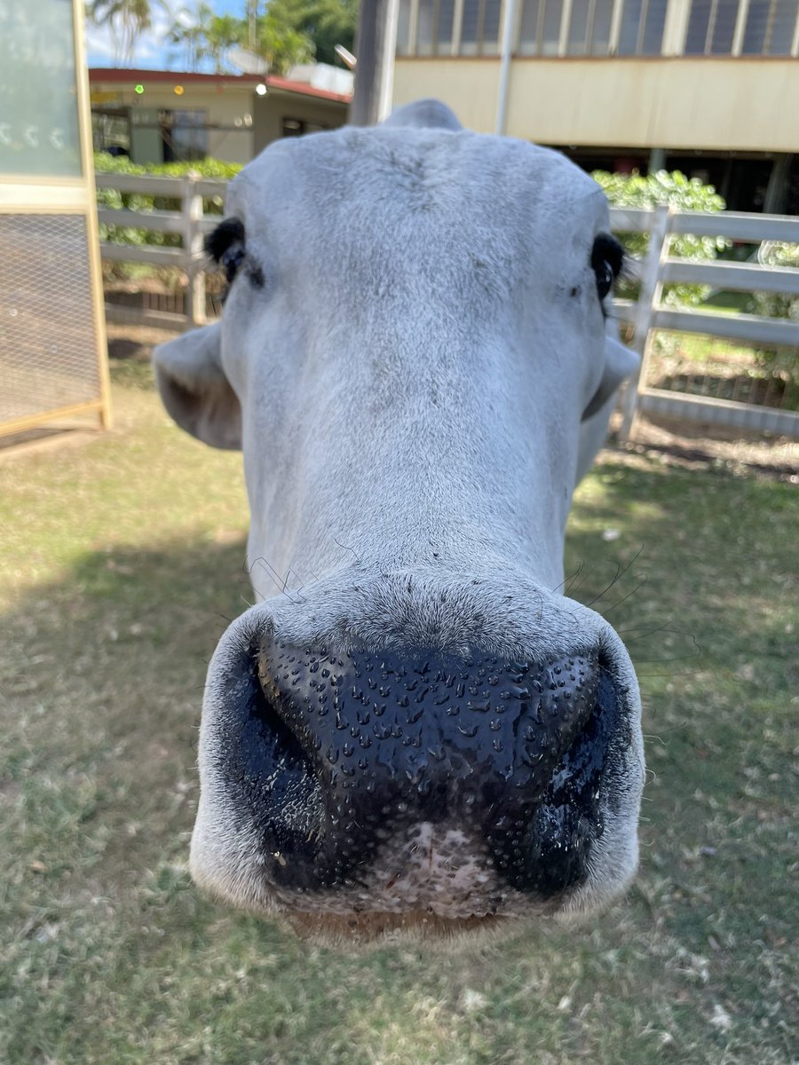 Grace Nye-Butler tweet media