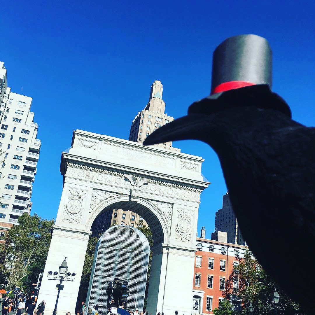 Kit the Crow’s been all over the world - where is he today? #namethecity
#travelswithmycrow #Shakespeare #travelphotography #shakespearefan #travel #crow #worldtraveler #worldtravelerpics #travelphotos