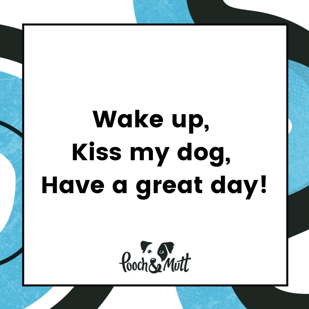 The only way to start the day! 🐶

#dogquotes #dogquote #dogmeme #dogmemes #funnydogquote #funnydogmeme #dogs #dogsofinstagram #meme #quotes #dog
