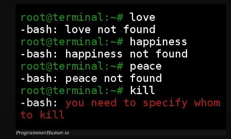 sadik_code's tweet image. story of my dev life
#100dev