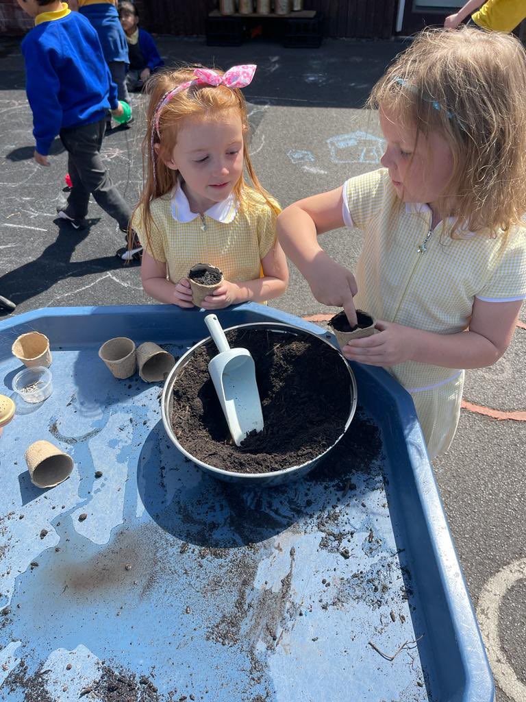 canon_burrows's tweet photo. Reception have been drawing and painting beautiful sunflowers this week. They have also learnt how to plant and care for sunflowers. We look forward to seeing how much they grow! #SAWweek #CBValues #creativity https://t.co/uNJehTAkzG