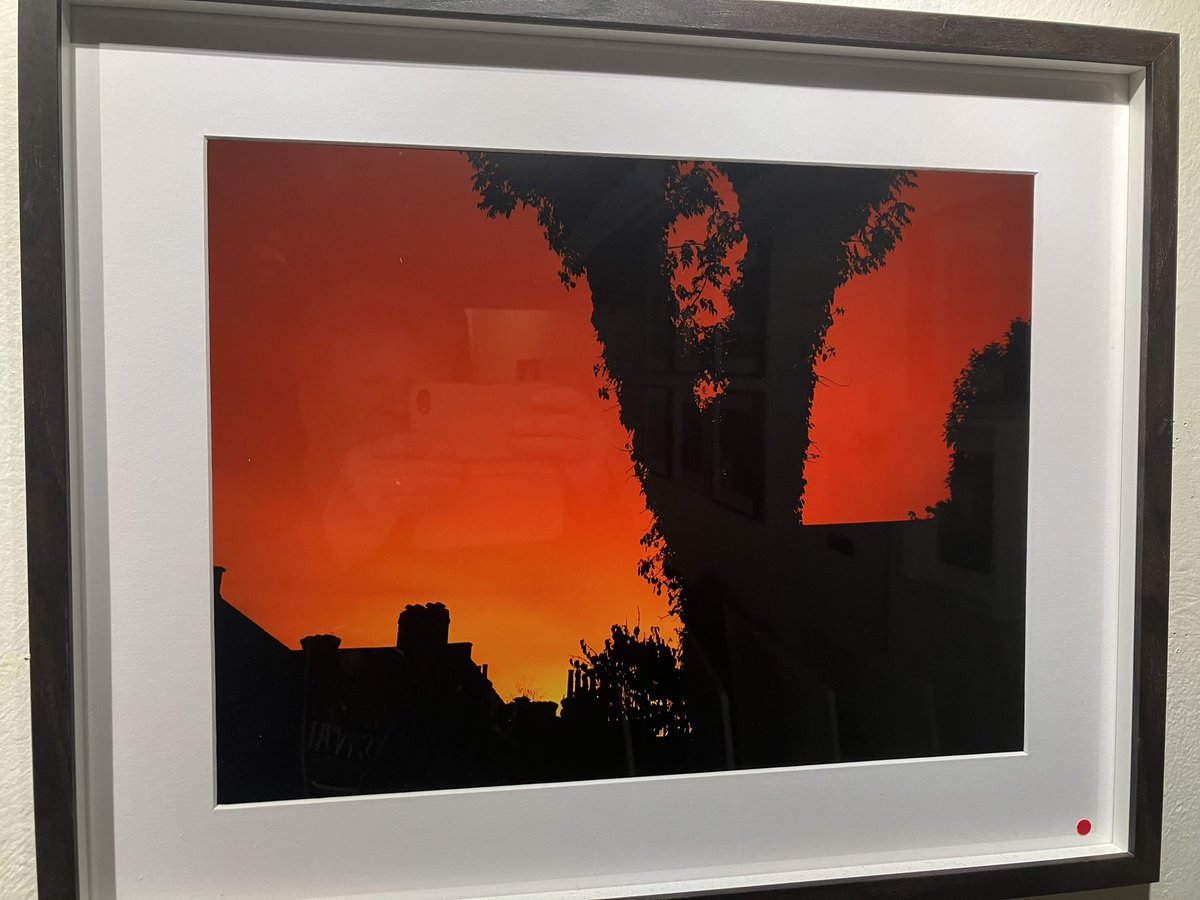 Jane Martin 💙 tweet media