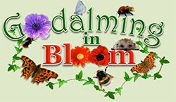 pumpkin_beth's tweet image. Live in #Binscombe, #Busbridge, Godalming, or #Farncombe? 
Have you entered your garden or allotment in Godalming in Bloom? 
If not, hurry up &amp;amp; enter now! 
Here's a link to the #Godalming in Bloom website: gogodalming.org.uk/index.php?page…

#Surrey #Gardening #Garden #Plants #Flowers #Grow