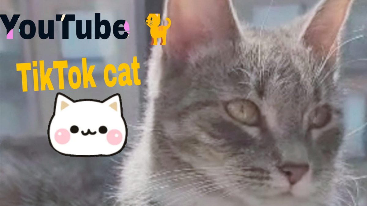 MixShorts3's tweet image. watch me here youtu.be/IYwpxoDAEYc