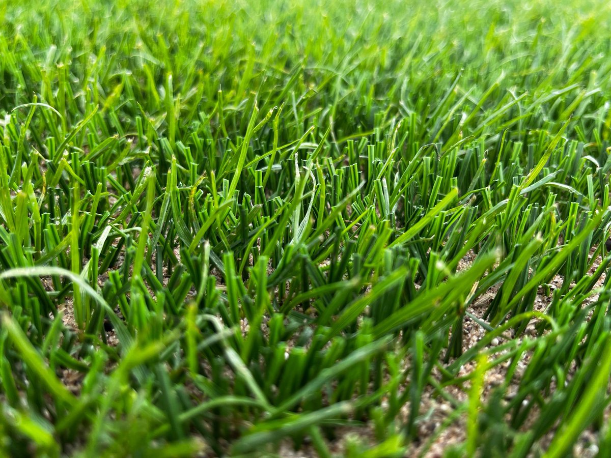 Hewitt Sportsturf tweet media