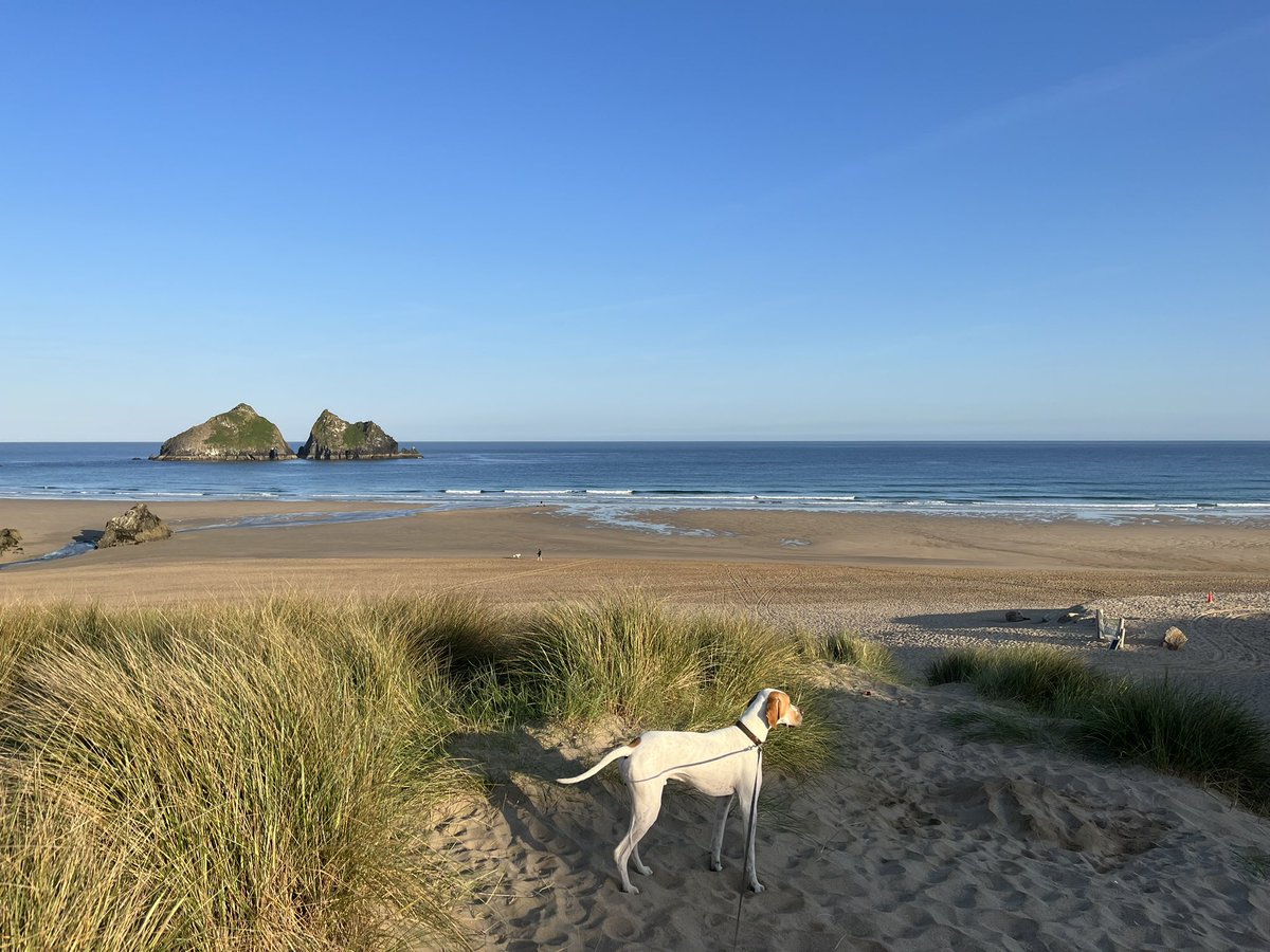 Many thanks #andrelax