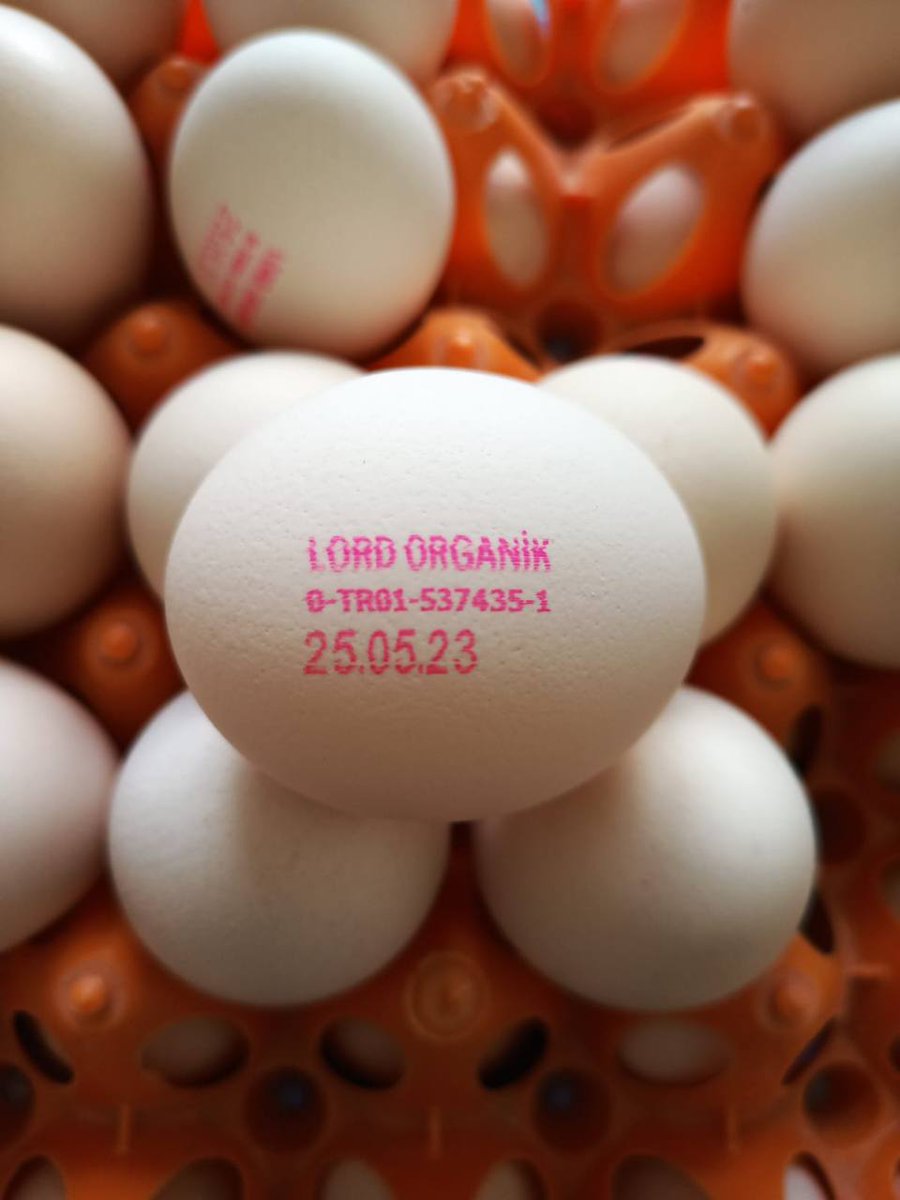 Adana'da üretim yapan Lord Organik yumurtalara tek yumurtlama tarihi basan Türkiye'deki tek işletme. Aynı zamanda horozlu üretim yapan ender işletmelerden biri.
Ekonomideki tüm olumsuzluklara rağmen doğrularından şaşmayan üreticilere ihtiyacımız var.
lordorganik.com