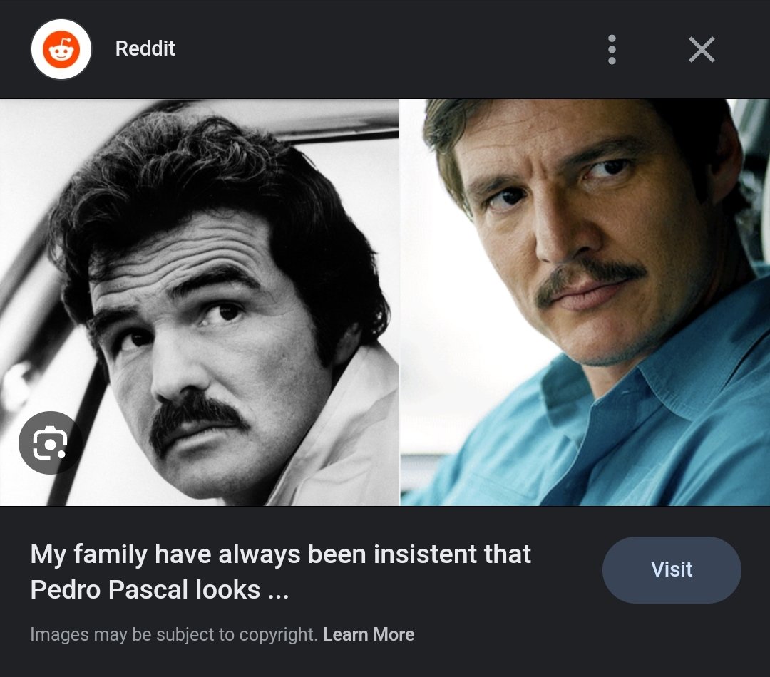 I think the reason that the #BurtReynolds and #PedroPascal look is so hot rn is because society as a whole is really just wanting some 'good dad' energy