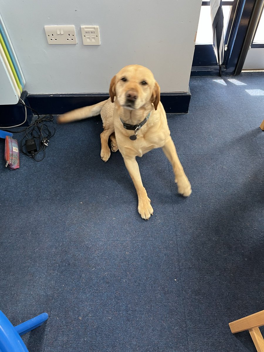 It’s a first having a school dog present during my maths session, but it was an enjoyable day spent with the very friendly staff @BoothamJunior