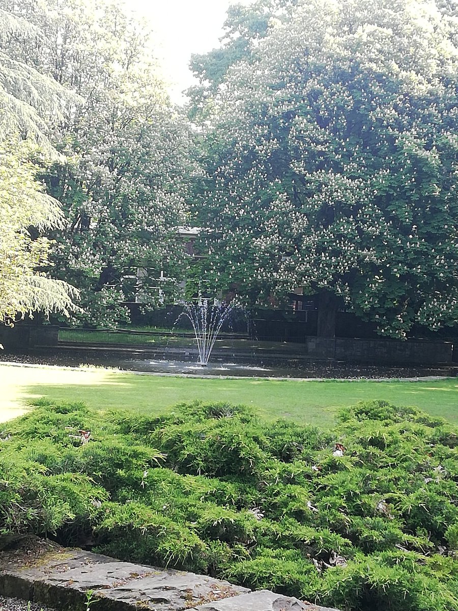 The best place to learn German. #Aachen #park #nature