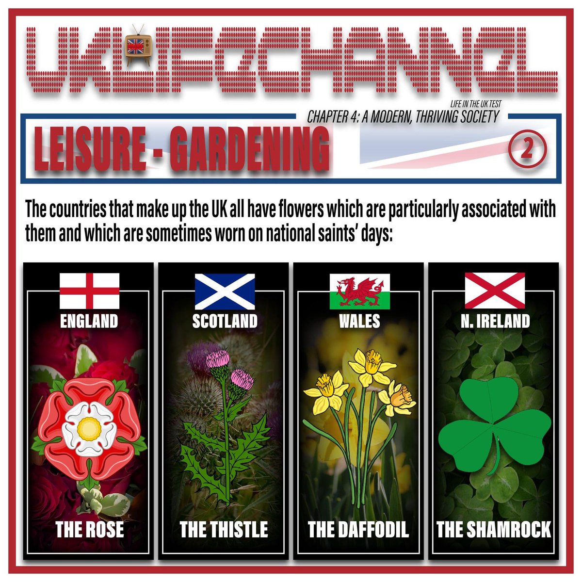 LIFE IN THE UK TEST
What are the four national flowers of the UK?

#uklifechannel #lifeintheuktest #unitedkingdom #uk #Britain #greatbritain #BritishCitizenship #ukleisure #ukgardens #gardening #england #scotland #wales #northernireland #rose #thistel #daffodil #shamrock