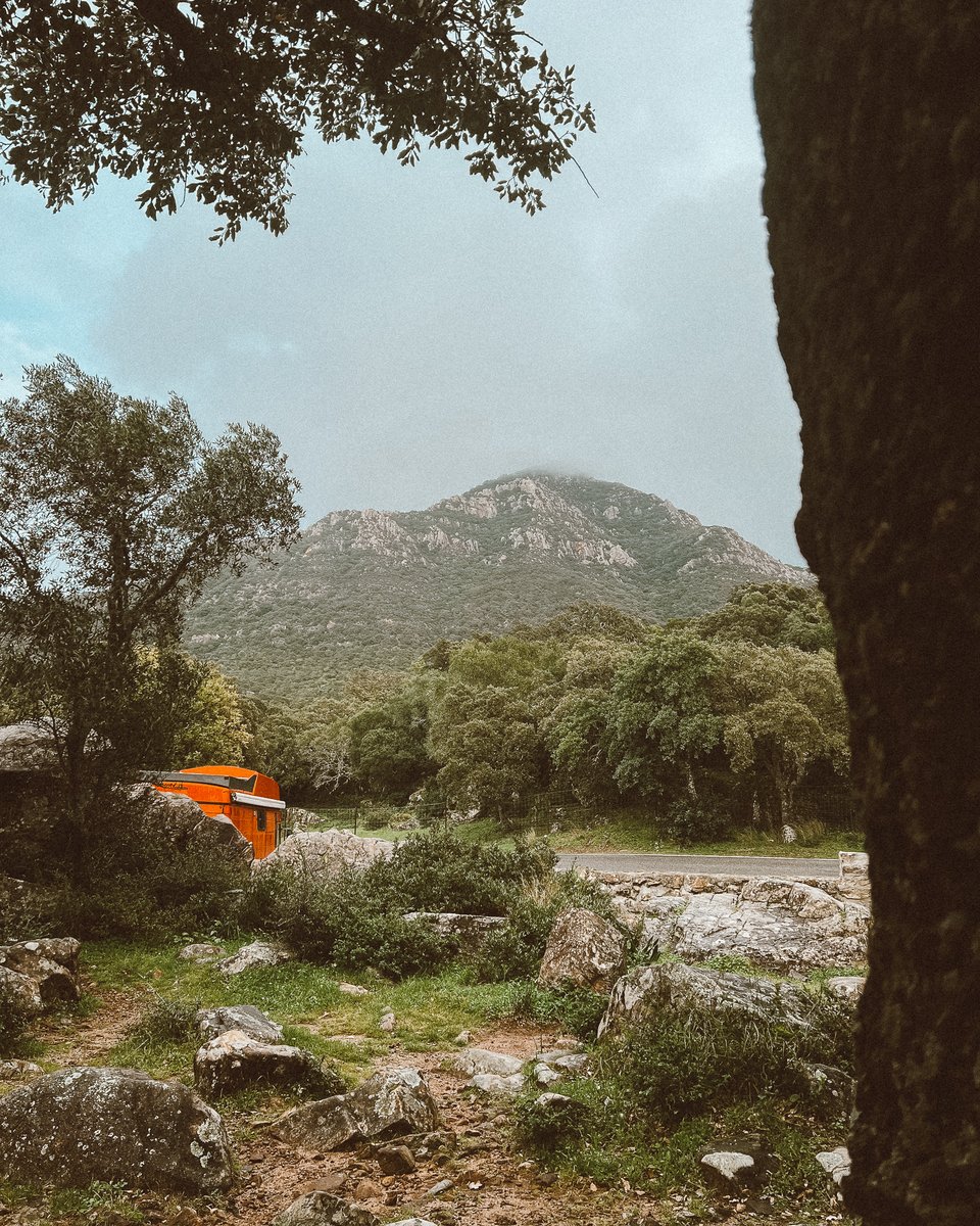 There it was, tucked away in the clouds. The Picacho Peak.
.
#vanlifeproject #homeonwheels #vanlifelove #vanlifefreedom #vanliferoadtrip #vanlifeproject #vanlifejournal #vanlifeadventure #movingtheway #keepyourspiritmoving #vanlifespain #vanlifeespagna #andalusia #alcornocales