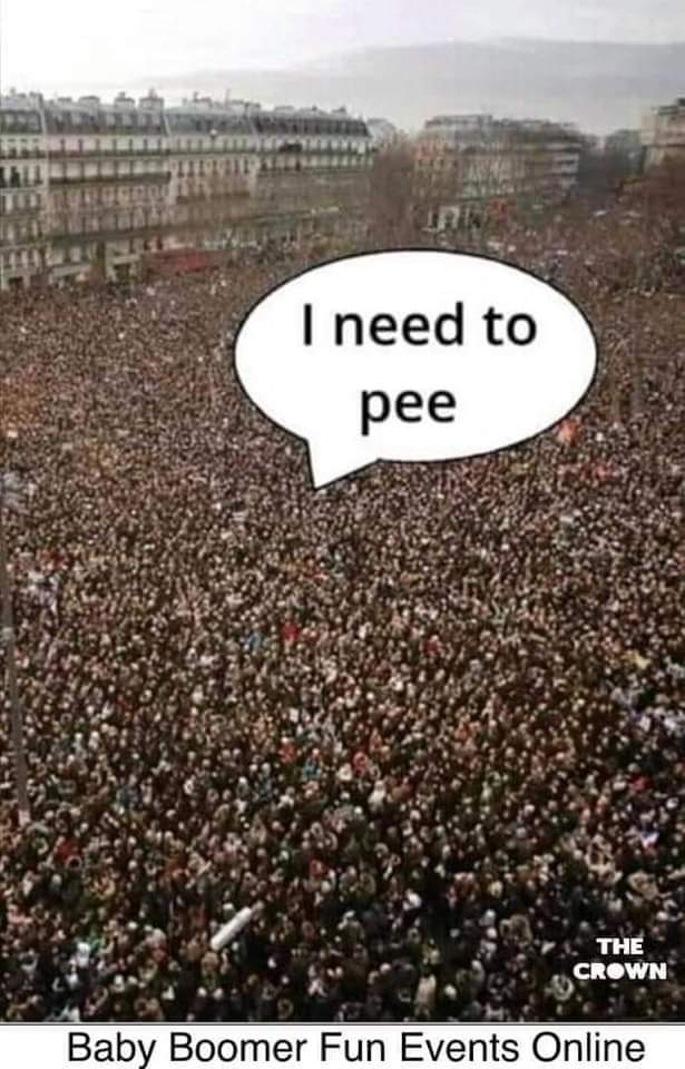 LUA 💙 tweet media