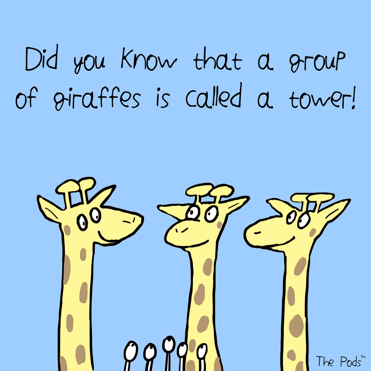 A fun fact for Saturday morning...
#funfact #fact #fun #didyouknow #giraffe #tower 
#group #wildlife #wild #wwf #meetthepods #thepods 
#eyepod #autism #specialneeds #autisticartist