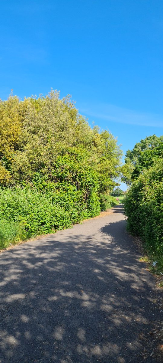 Mark Young tweet media