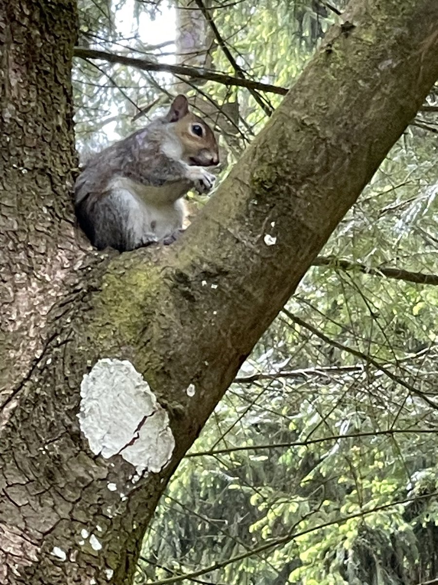 Center Parcs, Warminster, England