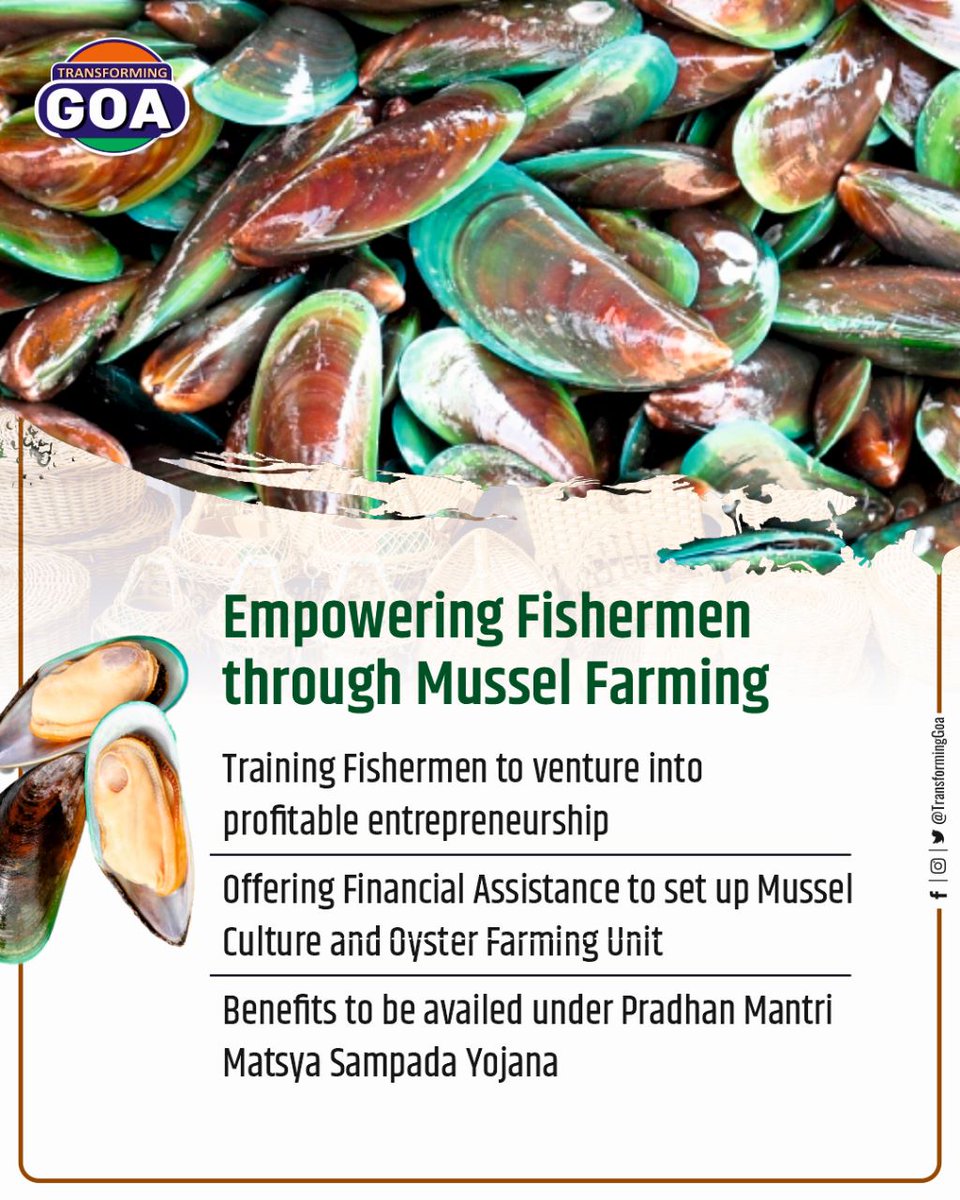 Empowering Fishermen through Mussel Farming

#Goa #GoaGovernment #TransformingGoa #facebookpost #bjym #bjymgoa #musselfarming #fisherman
