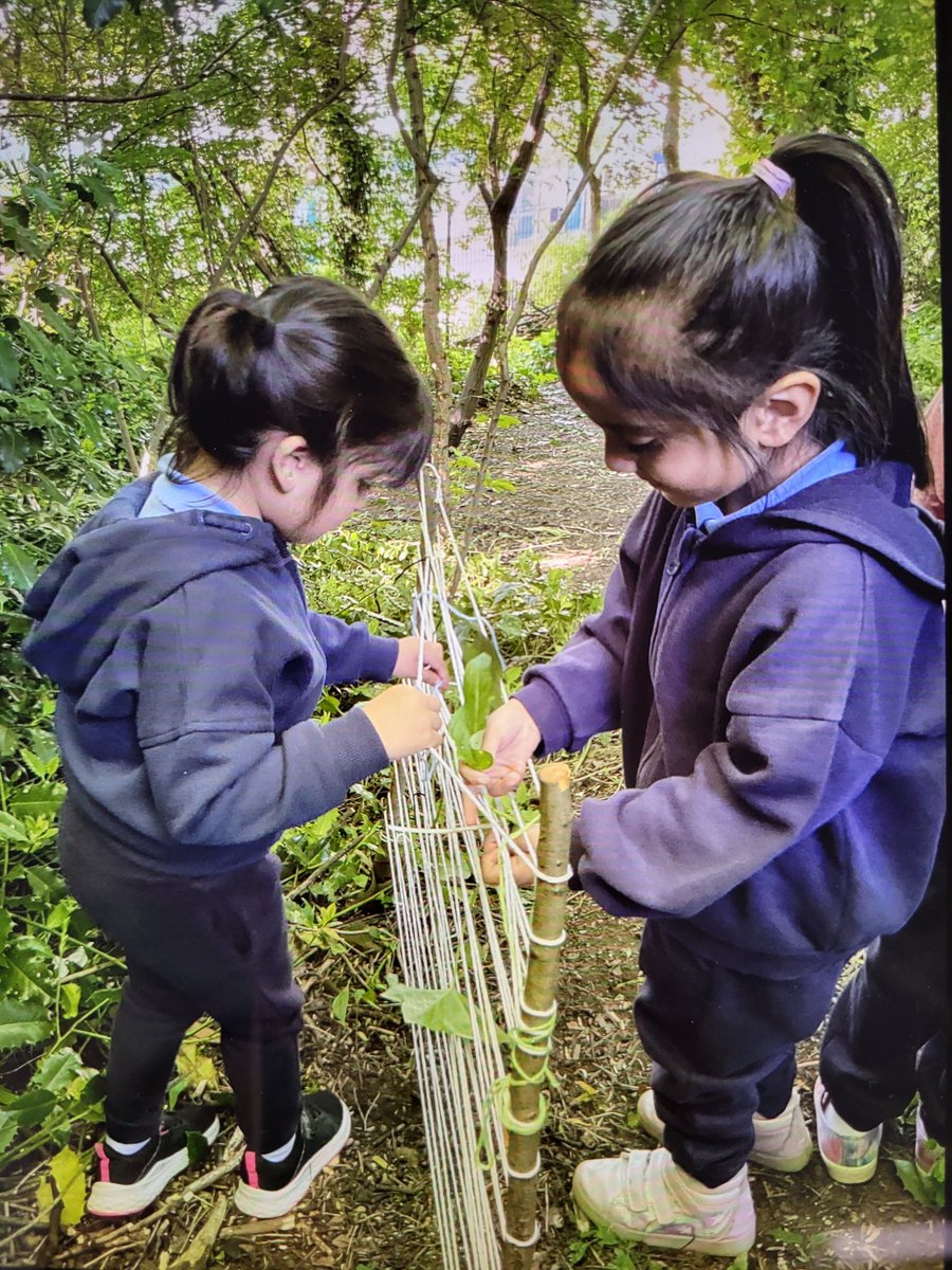EYFSatStPhilips's tweet photo. Weaving and wrapping using leaves, vines, flexible sticks and colourful wool in the forest yesterday. #forestschool #Wellbeing #concentration @BfdForestSchls @BDAT_CPD @WeAreBDAT @STPHILIPSCE https://t.co/ADhhEk1kp3