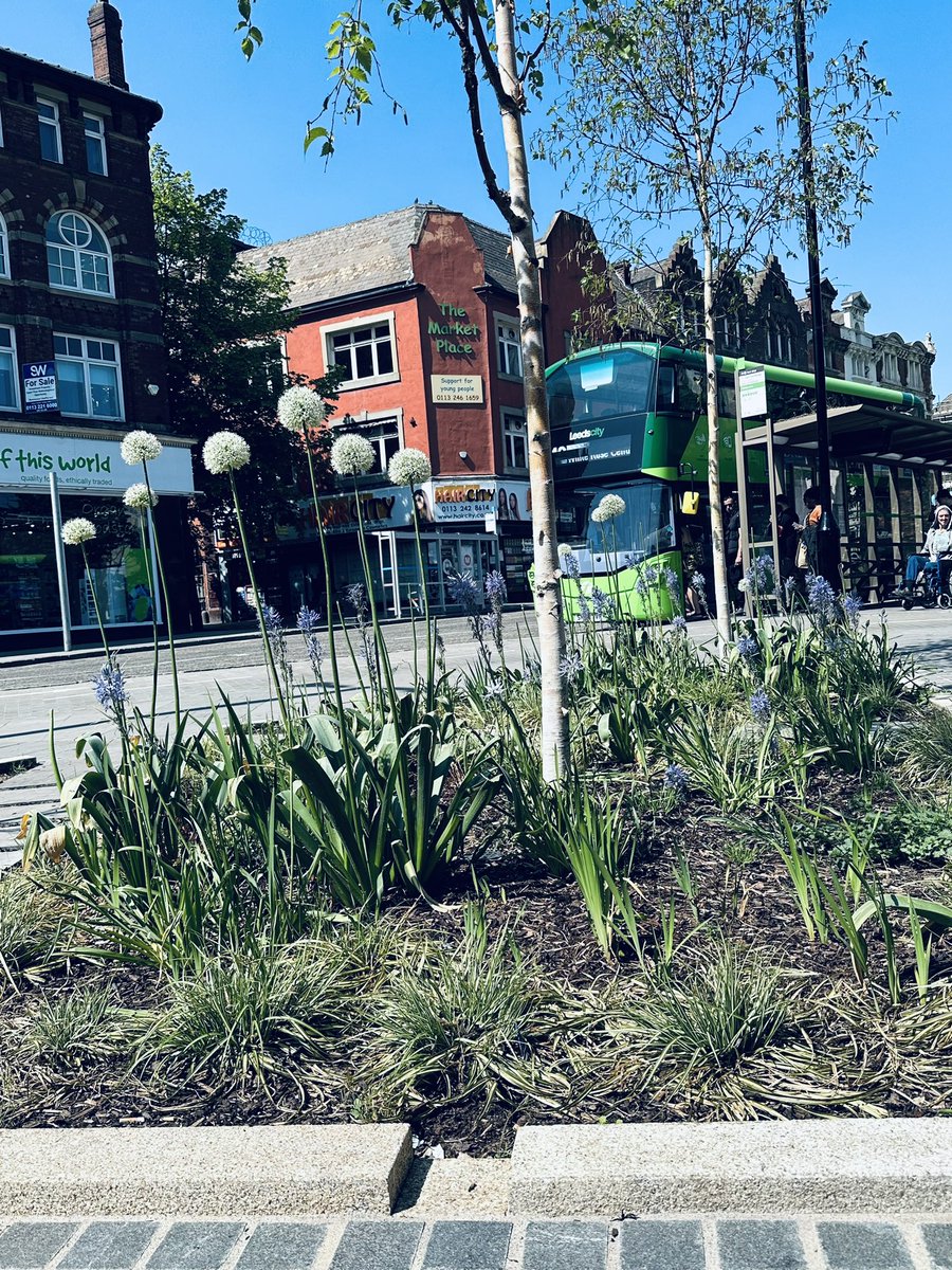 Leeds you are pretty in the sunlight #sunny #leeds #takenoniphone14pro #apple #snapseededit