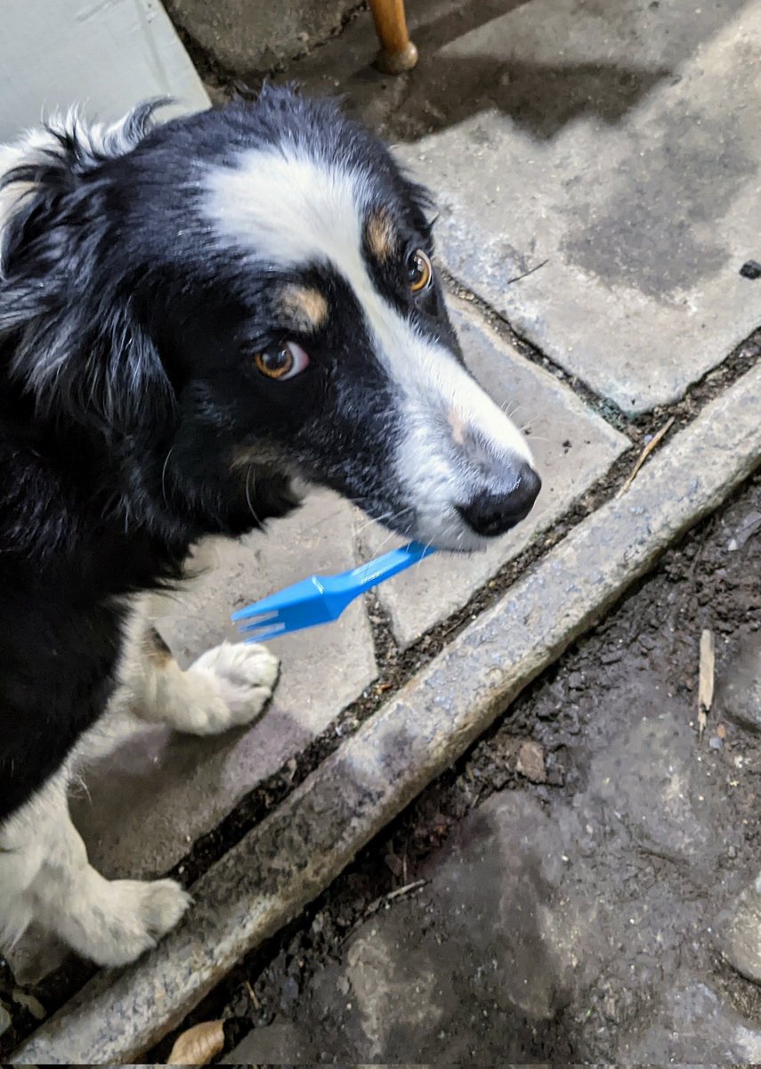 One thing Ellie doesn't like is #plasticwaste, so when she spots discarded items, like this fork, on the floor of the Transhipment Warehouse, she does the responsible thing and does a bit of litter picking. 
Be like Ellie. Keep our village rubbish-free. 🙂